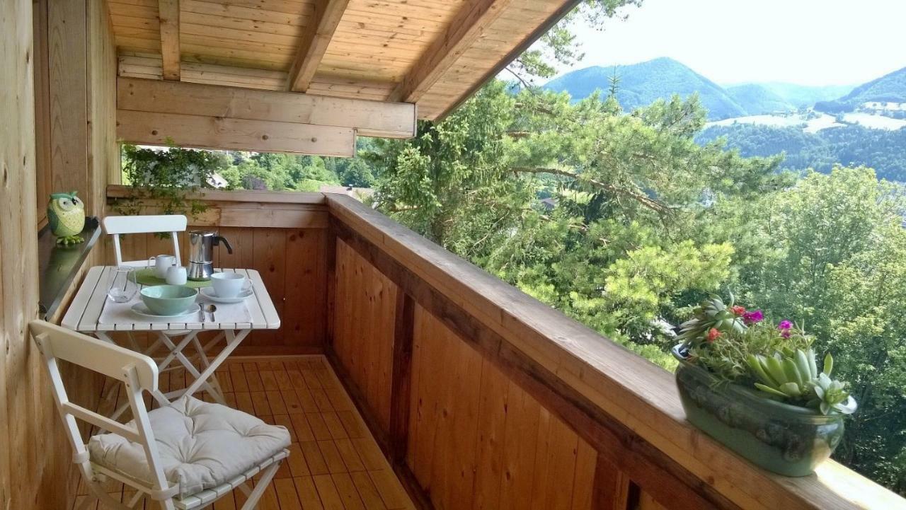 Appartement Kohlnberger Вайдхофен-ан-дер-Ибс Экстерьер фото